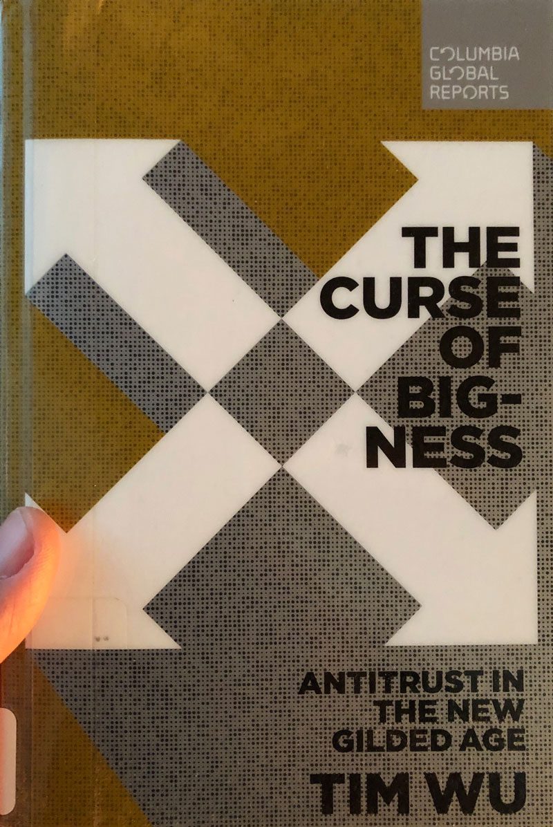 The Curse of Bigness