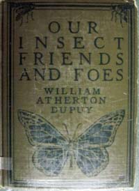Our Insect Friends and Foes