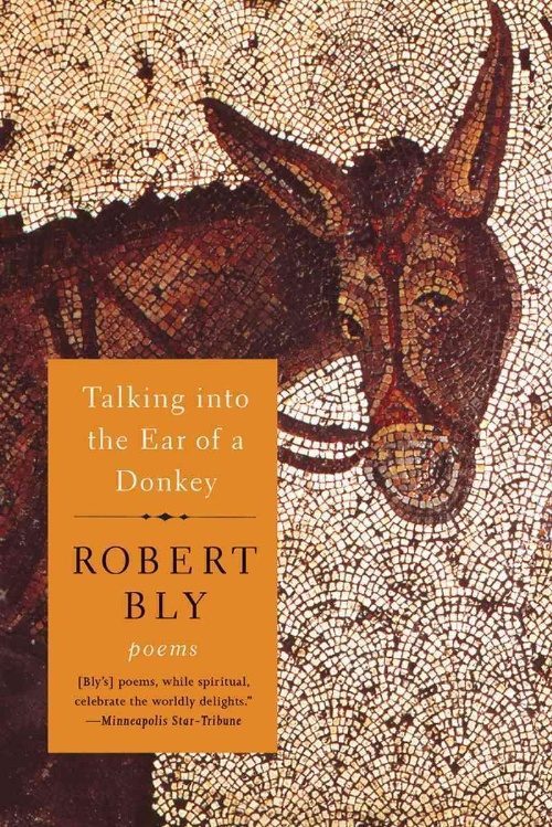 Talking Into the Ear of a Donkey